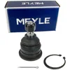 Image de Meyle