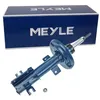 Image de MEYLE Amortisseur de chocs 2266230020