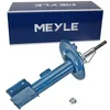 Image de MEYLE PRESSION DE GAZ