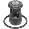 Image de MEYLE Thermostat (liquide de refroidissement) 1001211025 Compatible avec: AUDI A2, SEAT ALTEA, ALTEA XL, AROSA, CORDOBA, CORDOBA, CORDOBA Vario, IBIZA II, IBIZA III, IBIZA IV, IBIZA IV SC, IBIZA IV ST