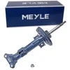 Image de Amortisseur MEYLE 026 623 0029 Système bitube