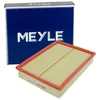 Image de MEYLE Filtre à air 53-123210007 Compatible avec: LAND ROVER DISCOVERY III, LAND DISCOVERY IV, LAND RANGE III, LAND RANGE IV, LAND RANGE SPORT I