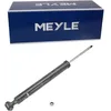 Image de Amortisseur MEYLE 026 725 0032 Système bitube