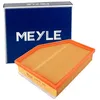 Image de MEYLE Filtre à air 3123210043 Compatible avec: BMW 5, 5 Touring, 6 Gran Turismo, 7, X3, X3 Van, X4, X5, X6, X7