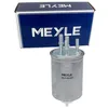 Image de MEYLE Filtre à carburant 53-143230001 Compatible avec: LAND ROVER DISCOVERY V, LAND RANGE IV, LAND RANGE SPORT II