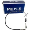 Image de MEYLE Palpeur température des gaz 114 800 0235
