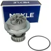 Image de MEYLE Pompe à eau 6136000005