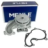 Image de MEYLE 7132200001 Pump