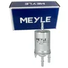 Image de MEYLE Filtre à carburant 1003230010