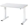 Image de RAU 08-WT-125-080-S Série adlatus 300 Établi Gris