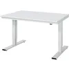 Image de RAU | Poste de Travail Assis-Debout électrique | Hauteur 720-1120 mm | Plateau en aggloméré MF | l x p 1250 x 1000 mm