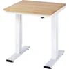 Image de Établi adlatus RAU 300 réglable en hauteur électriquement Plateau en hêtre massif 750 mm x 800 mm