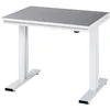 Image de RAU 08-WT-100-080-L Série adlatus 300 Établi Gris