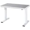 Image de RAU 08-WT-125-080-L Adlatus 300 Établi Gris