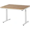 Image de RAU | Poste de Travail Assis-Debout électrique | Hauteur 720-1120 mm | Plateau en hêtre Massif | l x p 1250 x 1000 mm