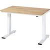 Image de Établi adlatus RAU 300 réglable en hauteur électriquement Plateau en hêtre massif 1250 mm x 800 mm