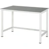 Image de Établi Rau avec plateau en linoléum l x p x h 1250x800x825 mm