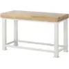 Image de Établi Rau pour charges lourdes L 1500 x P 700 x H 900mm