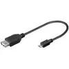 Image de Wentronic Adaptateur USB Prise A / Fiche micro B 0,2 m (Import Allemagne)