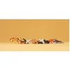 Image de Preiser 1/87 Ème - PR14165 - Modélisme Ferroviaire - Chiens et Chats