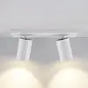 Image de Deko-Light Spot pour plafond CAN TILT, blanc, 31 x 9 cm, à 2 lampes, métal GU10