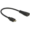 Image de DeLock 65650 Adaptateur HDMI avec Ethernet Mini-C vers A Noir