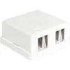 Image de DeLOCK Caja Keystone montada en Surface, 2 puertos