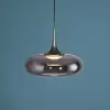 Image de SCHÖNER WOHNEN suspension LED Posh à 1 lampe, verre fumé, 3 000 K