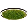 Image de Just Light Plafonnier Green Ritus avec mousse Ø 58,5cm -