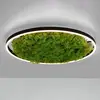 Image de JUST LIGHT. GmbH Plafonnier LED Green Ritus, mousse à intensité variable Ø58,5cm