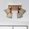 Image de JUST LIGHT. GmbH Spot pour plafond Green Michel, à 4 lampes