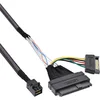 Image de InLine U.2 Câble d'alimentation SSD avec U.2 SFF-8639 vers SFF-8643 0,75M Noir