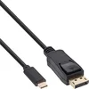 Image de InLine 64122 2m USB C DisplayPort Noir câble vidéo et adaptateur