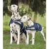 Image de WALDHAUSEN Couverture de Pluie pour Chien 65 cm Marine