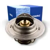 Image de SWAG Thermostat de liquide de refroidissement pour 19 21 Clio Laguna Trafic 7700723945