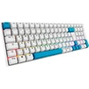 Image de SKILLER SGK50 S2 PBT RGB clavier gaming mécanique