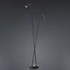 Image de HELL Lampadaire LED Tom, à 2 lampe, noir