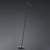 Image de HELL Lampadaire LED Tom, dimmable, noir