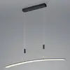 Image de HELL Suspension LED Dual avec télécommande CCT noir