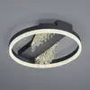 Image de HELL Plafonnier LED Dunja avec optique cristal noir