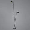 Image de HELL Lampe sur pied LED Samy à 2 lampes 180cm noir/or