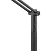 Image de HELL Lampadaire arqué LED Evolo CCT, noir