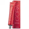 Image de Schwarzkopf - ROYAL IGORA 8-77 13/02 60 ml