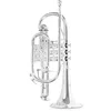 Image de Roy Benson CR-302S Cornet Sib Argent
