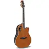 Image de Celebrity Elite Deluxe Plus LTD 2026 Deep Contour Amber Satin CDX40P-FM-G