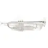 Image de Roy Benson TR-202S Trompette Sib Argent