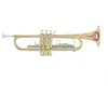 Image de Roy Benson TR-202G Trompette Sib cuivre rose