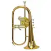 Image de Bugle Sib D'etude Roy Benson FH-302G
