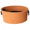 Image de D&D Home, Lot de 3 Paniers pour Chats et/ou Chien Modèle Felt, Fabriqué en Feutre, 2 poignées en Corde de Coton, avec Coussin Moëlleux Réversible, Orange, Set de 3 - M/L/XL