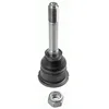 Image de LEMFÖRDER 10518 02 Rotule de Suspension pour BMW 3 (E30) 1982-1992 Droit, Gauche, Inférieur, Intérieur, Essieu Avant et autres véhicules